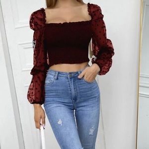 Gorgeous Mesh Sleeve Frill Top in deep Maroon